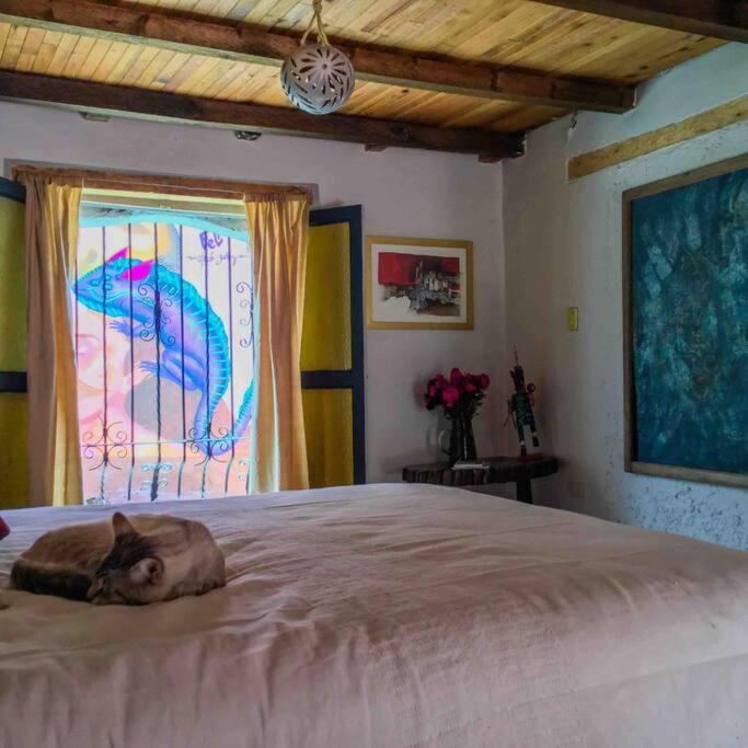 Casa Cerrillo Appartement San Cristóbal de Las Casas Buitenkant foto